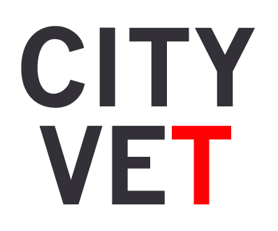 Cvc Small Logo Revised 2023 Cvc Small Logo Revised 2023