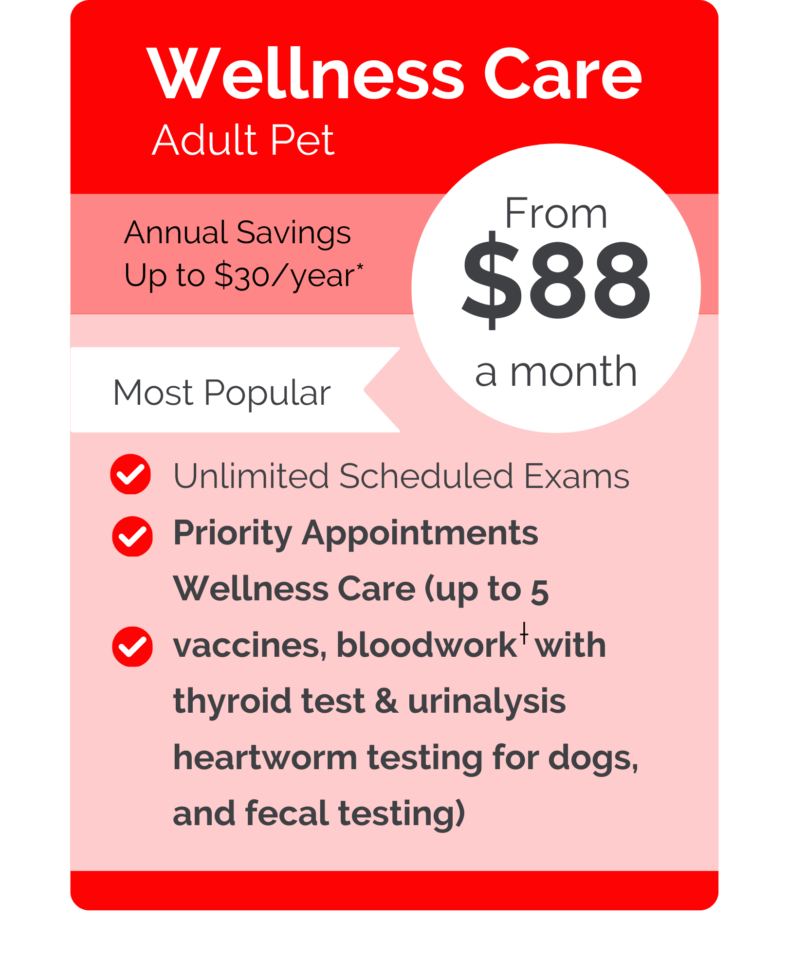 City Vet Care VIPet pricing wellness